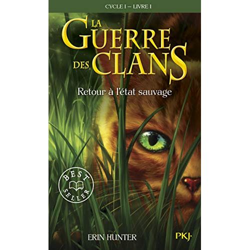 Premier volume de La Guerre des Clans pour jeunes filles