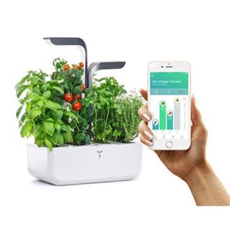 Potager intérieur connecté Véritable pour cultiver des herbes aromatiques toute l'année avec éclairage LED intelligent et arrosage automatique, idéal citadins et technophiles.