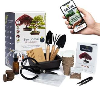 Kit de démarrage Bonsaï Cultivea, cadeau idéal pour amoureux de la nature, créativité en intérieur, plantes, jardinage facile et écologique.